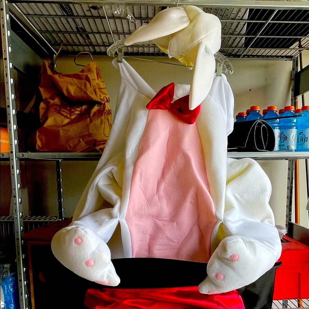 Magic rabbit in the hat full body Halloween costume
